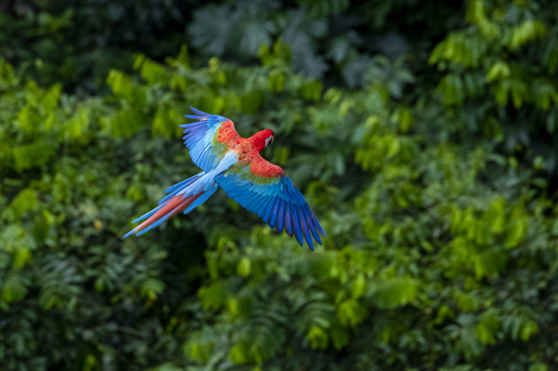 Bonito - Photo by Hudson Garcia (11)